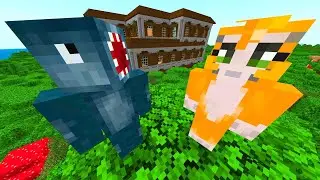 Teddy Rescue Challenge - Challenge