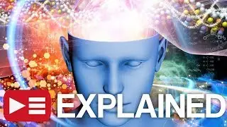 The Prefrontal Cortex: EXPLAINED