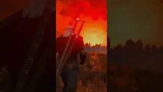 Ведьмак 3 Дикая охота