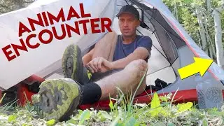 Noises Outside My Tent 🙀 - SCARED & ALONE in the Middle of the Forest