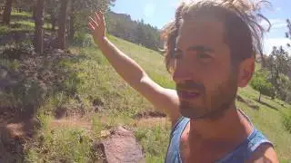 Something strange is happening to me.  Plus a tour of our new mountainside food forest.