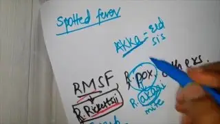Rickettsia simplified - Part 2 ( Intro and classification)
