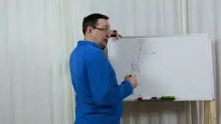 Как меняется осанка у водителей.