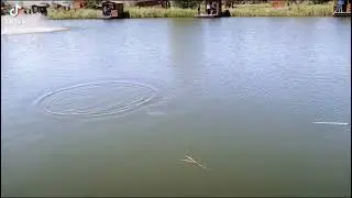 Взял с собой детей половить форель.