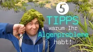 5 tips why you might have string algae problems | Quick solution to string algae problems!?