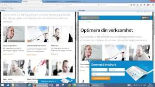 Dynamicweb Content Management introduction