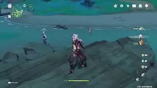 Abismo 2.3 Inazuma- Genshin Impact