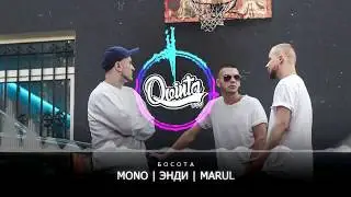 Mono x Энди x Marul (Qvinta) - Босота