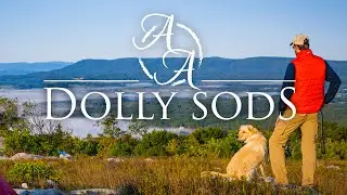Backpacking With My Dog at Dolly Sods, West Virginia (4K)