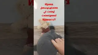 Енотик 
