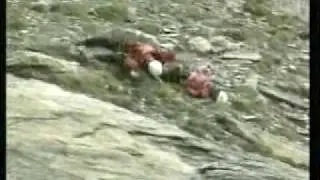 2 climbers survive after falling 70 meters off a cliff.
