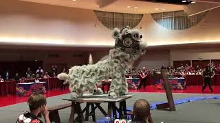 USDLDF 2nd Lion Dance Competition 2019 - Jiu Long Sports Association