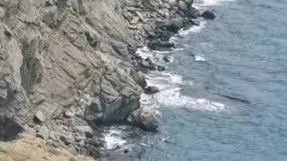 Шум моря и ветра. 