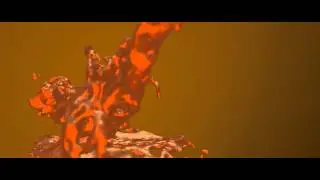 Motion Design