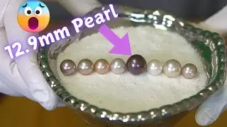 Opening a HUGE 12.9mm Pearl! (Reveals 17196 - 17208)