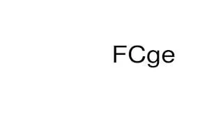 How to pronounce FCge