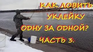 How to catch bleak one after another??? Part 3.