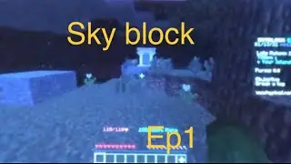 Sky block on hypixel Ep only 1