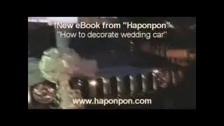 Car Decorations / Wedding Car Decorations / Bride Car Decorations
