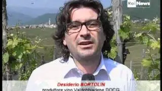 RaiNews24