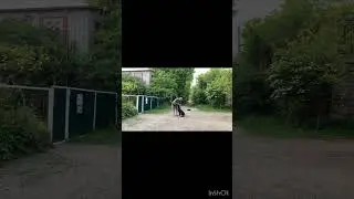 Среднеазиатская овчарка 4 месяца Сэм! Отработка команды ко мне!