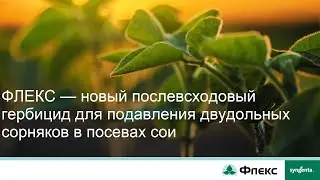 ФЛЕКС — новый послевсходовый гербицид для подавления двудольных сорняков в посевах сои
