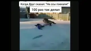 Тик ток 2022/РУССКИЙ АВТОПРОМ/ЯРИК ТЕКАЙ