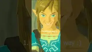 The Ethical way to Save a Korok