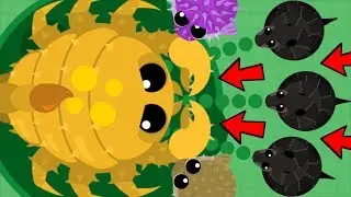 Mope.io COBRA + PUFFERFISH TROLLING SQUAD! New Glitches & Developer Hacks