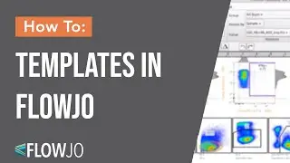 How to Use Templates in FlowJo