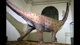Titanosaurio: El Dinosaurio más grande que habitó en Perú