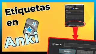 CÓMO funcionan las ETIQUETAS en Anki