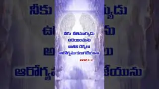Today God's Promise & Daily Devotion | 27_September_22