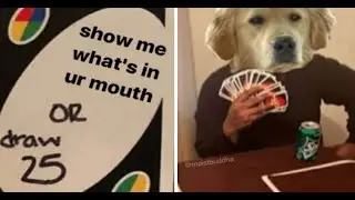 playing UNO but my friend's laugh will make you think your tea is ready