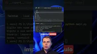Nunca use input() para senhas no Python