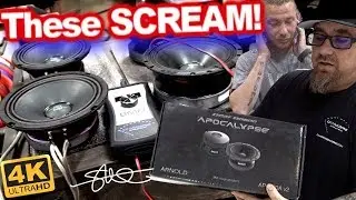 These SCREAM! Deaf Bonce Apocalypse 6.5