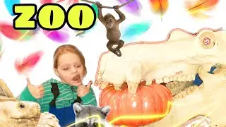 Zoo. Настя и папа в зоопарке. Кормим собачек и других животных
