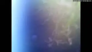 NATURE'S WAY