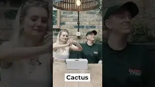 What's In The Box? - Jess Bays & Poppy Baskcomb Teaser
