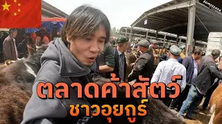 🇨🇳 เปิดโลกตลาดค้าสัตว์บนเส้นทางสายไหมจีน (The Extreme Silk Road Market in China) #พเนจร EP6