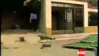 Румынский ОМОН