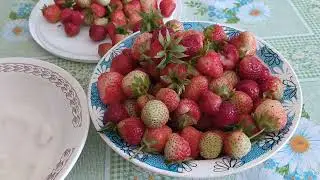 КЛУБНИЧКА 🍓😊 ПОШЛА!👍