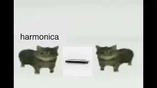 this is a harmonica