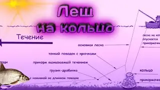 Рыбалка на кольцо Волга#ловля леща на кольцо #Рыбалка