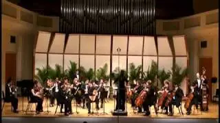 Brouwer Concerto Elegiaco 1st Mvt