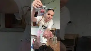 Pianto il mio avocado insieme a voi