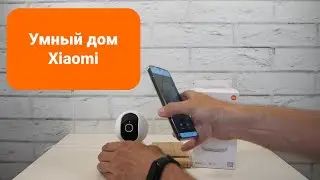 Умный дом Xiaomi