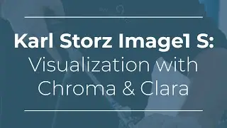 Karl Storz Image1 S: Visualization with Chroma & Clara