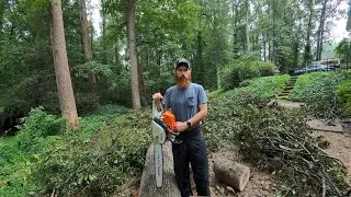 BIG Tree Cleanup Project // Firewood Cutting Part 1