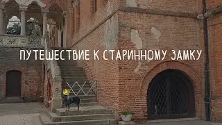 VLOG: в поезде с австралийским хилером | путешествие к старинному дворцу